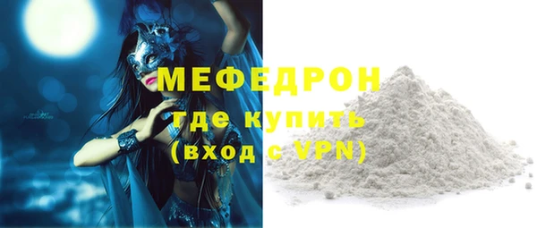 индика Новодвинск