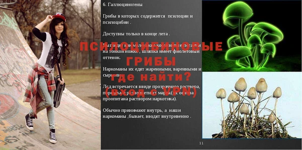 мяу мяу мука Новокубанск