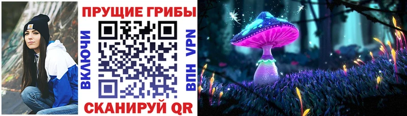 blacksprut   Инта  Псилоцибиновые грибы MAGIC MUSHROOMS 